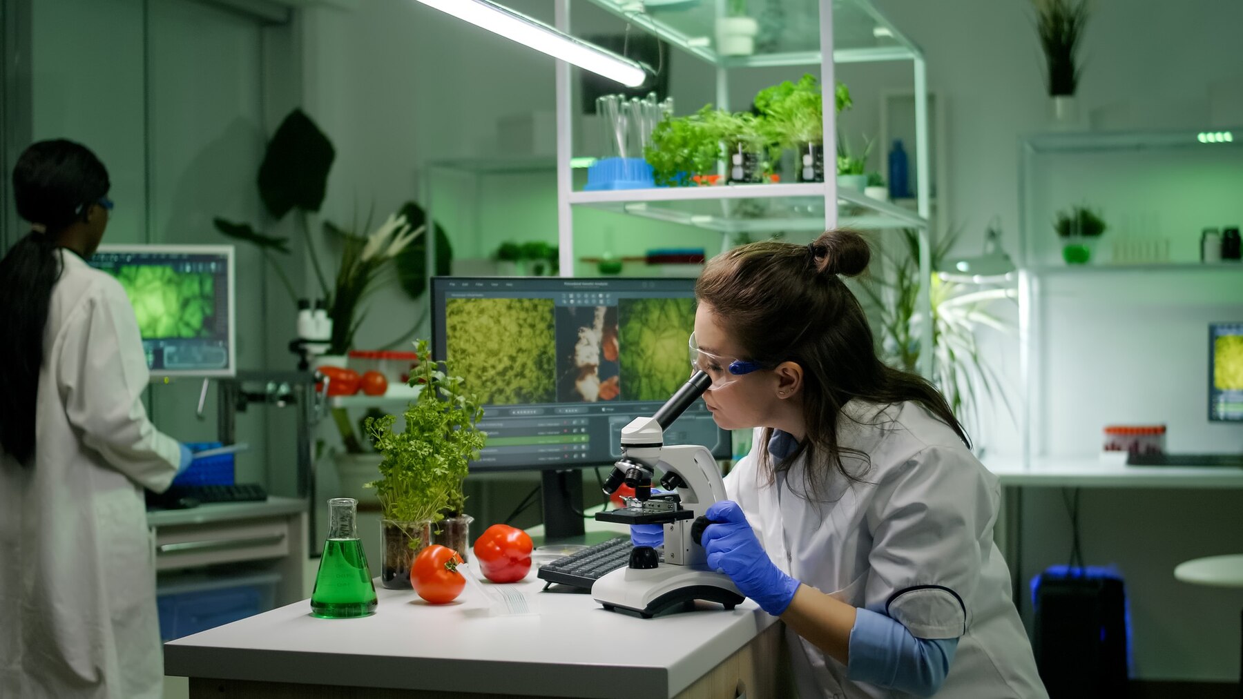 nutraceutical third party manufacturing company in India